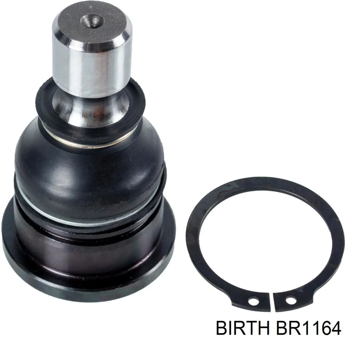 BR1164 Birth