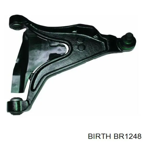 BR1248 Birth Рычаг передней подвески нижний, правый