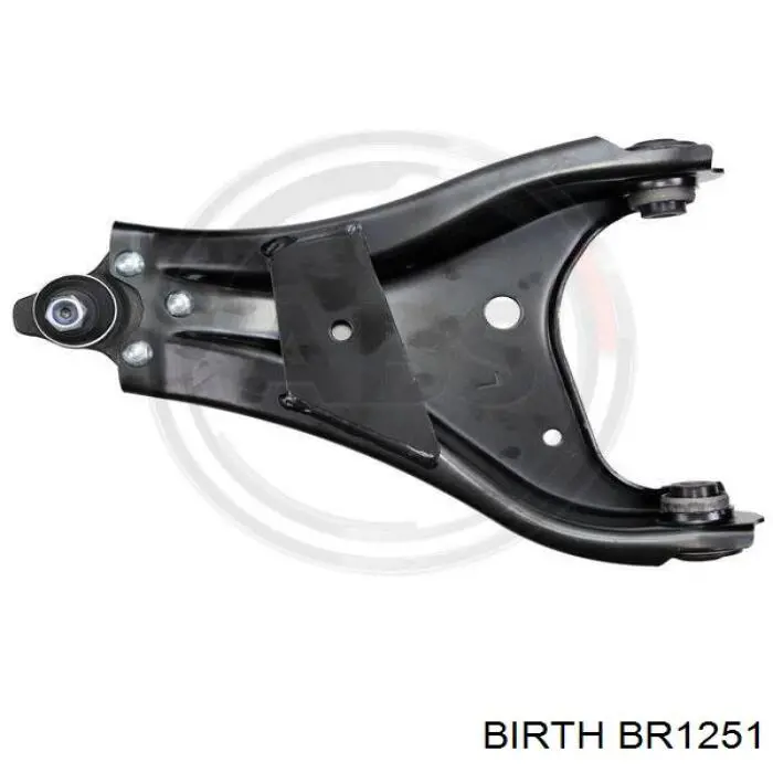 BR1251 Birth