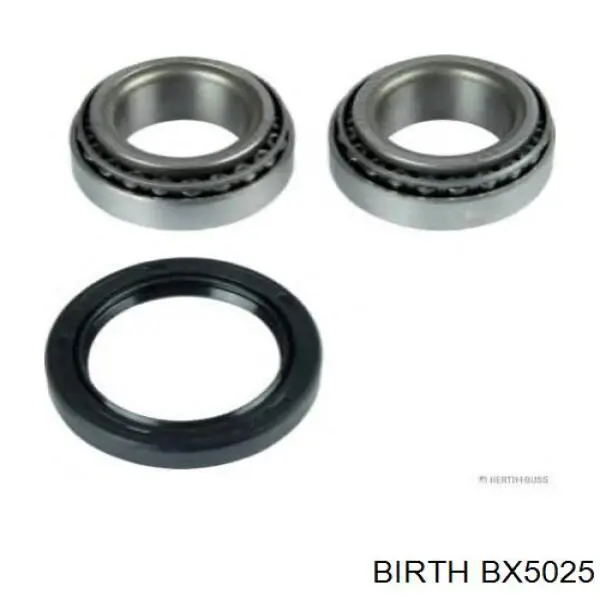 Поперечный рычаг задней подвески BX5025 Birth