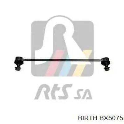 Купить BX5075 Birth Амортизационная стойка