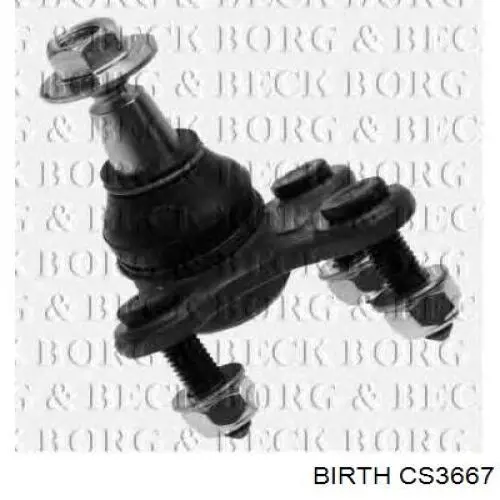 Нижняя левая шаровая опора CS3667 Birth
