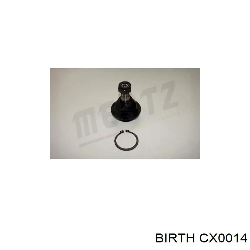 Купить CX0014 Birth Нижняя шаровая опора