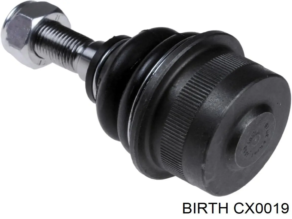 Купить CX0019 Birth Верхняя шаровая опора