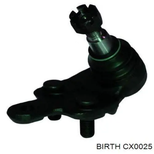 CX0025 Birth Палец шаровой нижний