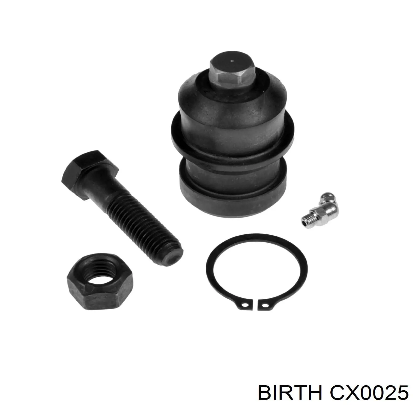 Купить CX0025 Birth Нижняя шаровая опора
