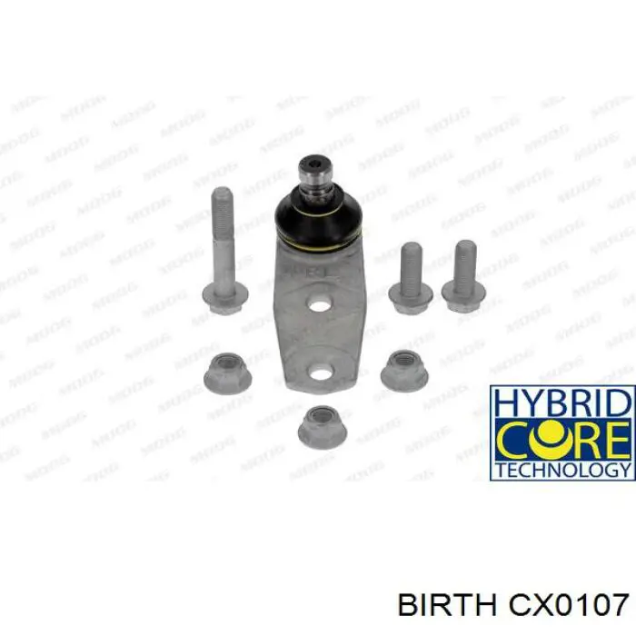 Купить CX0107 Birth Нижняя шаровая опора