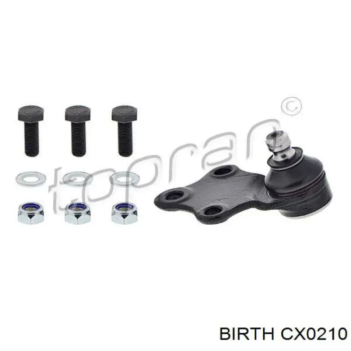 Шаровая опора, нижняя Birth CX0210 цена, от 5.26 USD