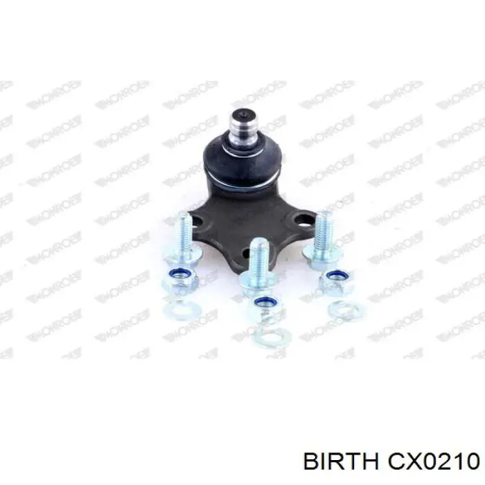 Купить CX0210 Birth Нижняя шаровая опора