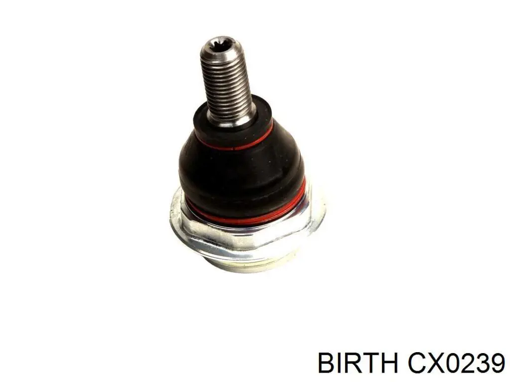 CX0239 Birth Палец шаровой нижний