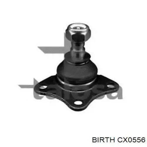 CX0556 Birth Палец шаровой нижний