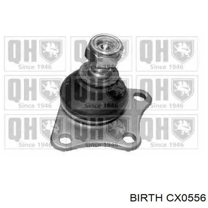 Нижняя шаровая опора CX0556 Birth