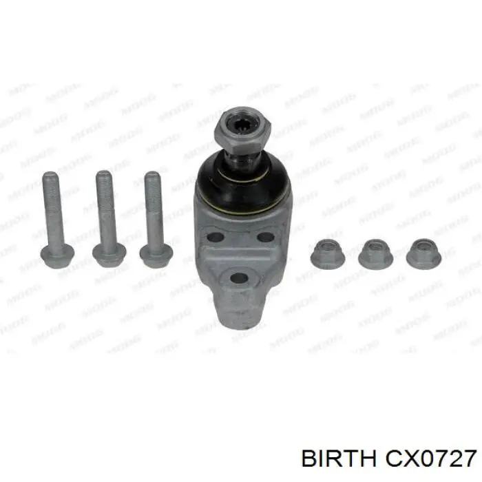 CX0727 Birth