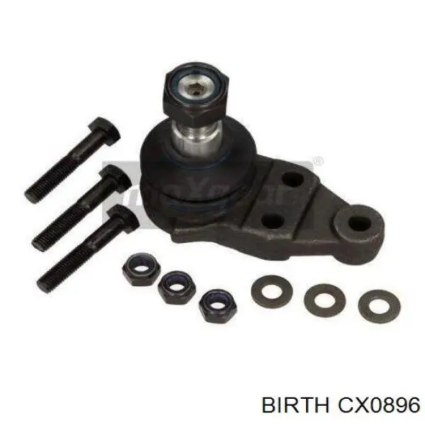 Купить CX0896 Birth Нижняя шаровая опора