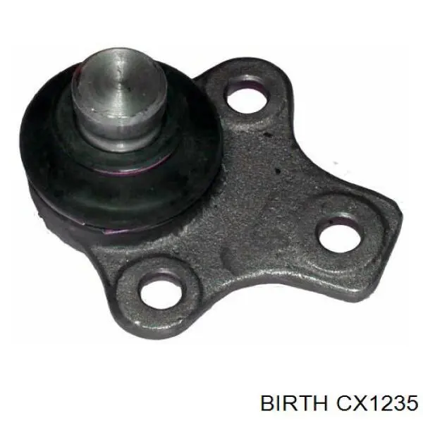 CX1235 Birth Палец шаровой нижний