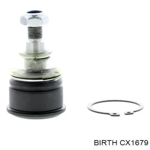 CX1679 Birth Палец шаровой нижний