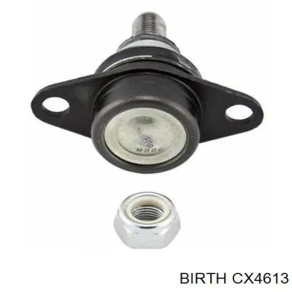 Нижняя шаровая опора CX4613 Birth