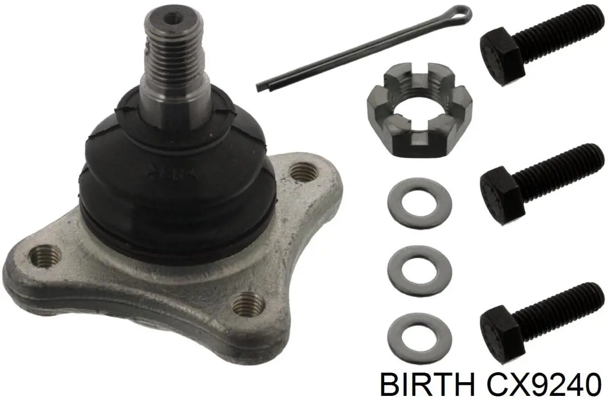 CX9240 Birth