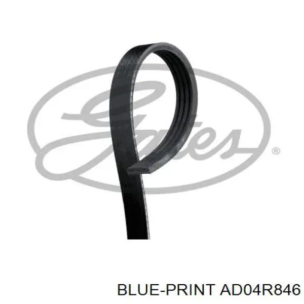 Клиновый ремень Blue Print AD04R846 цена, от 5.08 USD