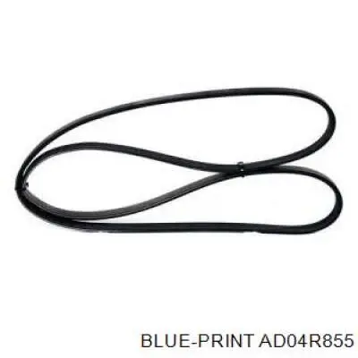 Клиновый ремень Blue Print AD04R855 цена, от 5.08 USD