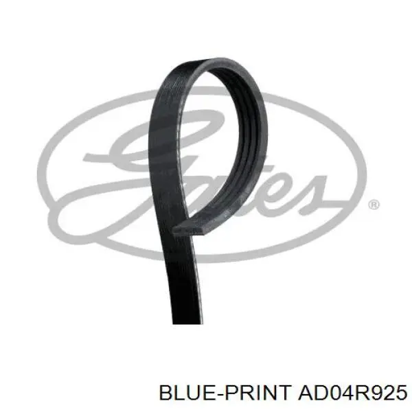 Клиновый ремень Blue Print AD04R925 цена, от 5.33 USD