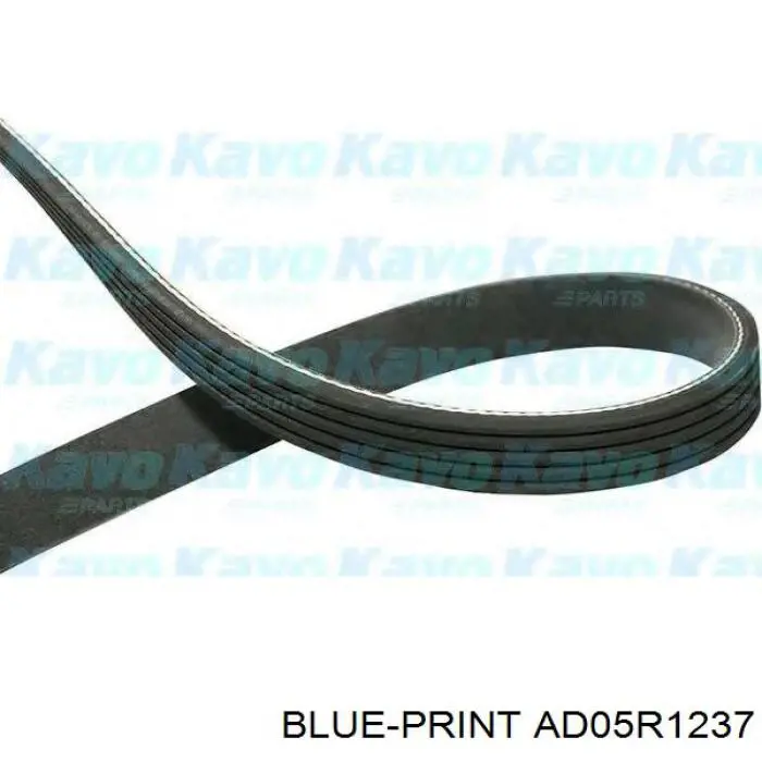Correia dos conjuntos de transmissão AD05R1237 Blue Print