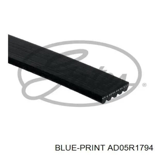 Клиновый ремень Blue Print AD05R1794 цена, от 9.06 USD