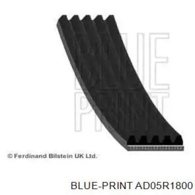 Correa trapezoidal AD05R1800 Blue Print