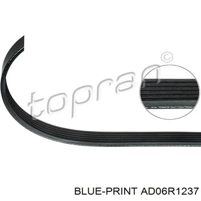 Купить AD06R1237 Blue Print Ремень генератора