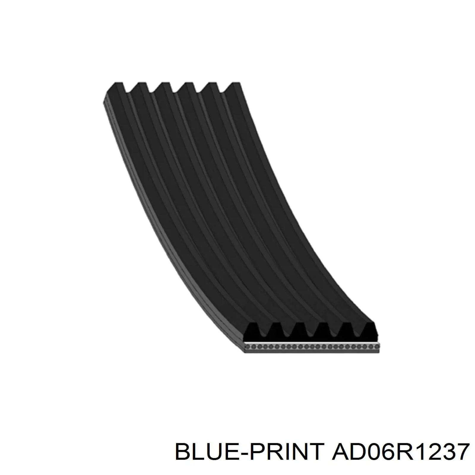 Correa trapezoidal AD06R1237 Blue Print