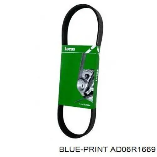 Купить AD06R1669 Blue Print Ремень генератора