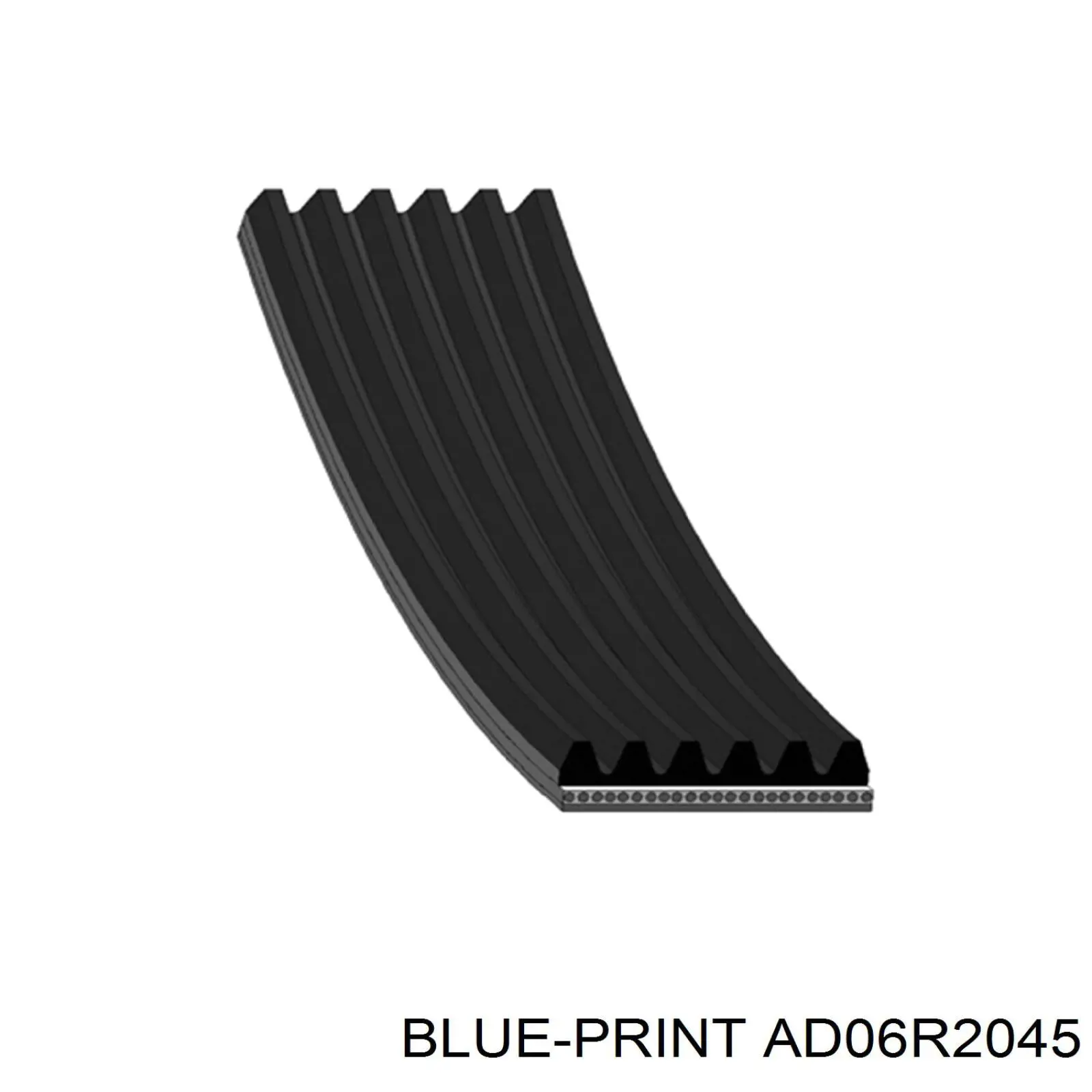 Correa trapezoidal AD06R2045 Blue Print