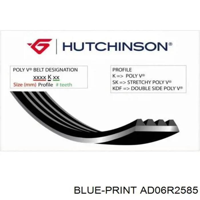 Ремень генератора AD06R2585 Blue Print