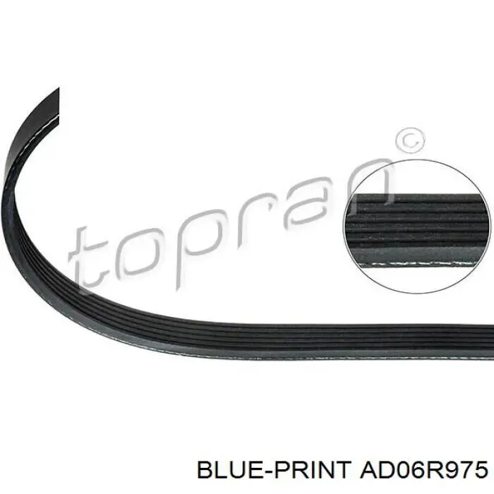 Купить AD06R975 Blue Print Ремень генератора