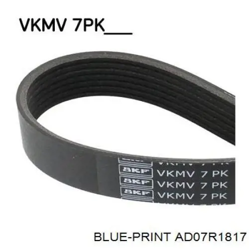 Клиновый ремень Blue Print AD07R1817 цена, от 15.57 USD
