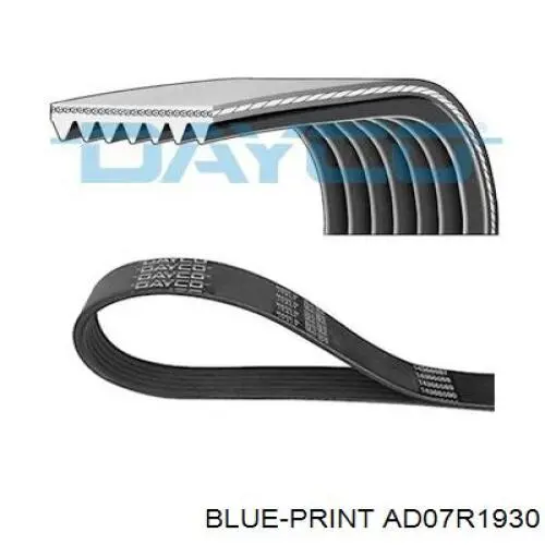 Клиновый ремень Blue Print AD07R1930 цена, от 15.08 USD