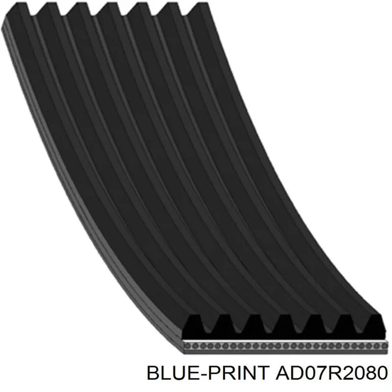 Correa trapezoidal AD07R2080 Blue Print