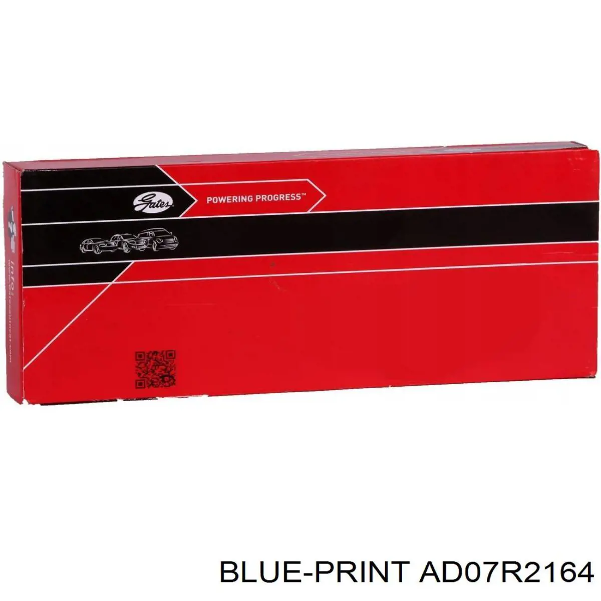 Клиновый ремень Blue Print AD07R2164 цена, от 16.97 USD