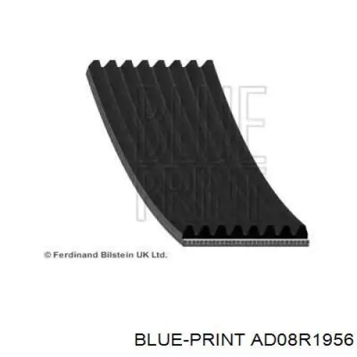 Ремень генератора AD08R1956 Blue Print