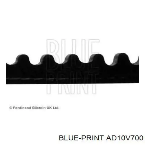 Correa trapezoidal AD10V700 Blue Print