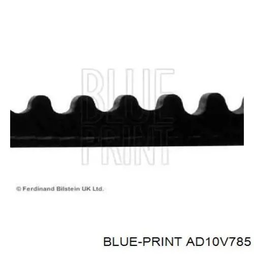 Correa trapezoidal AD10V785 Blue Print