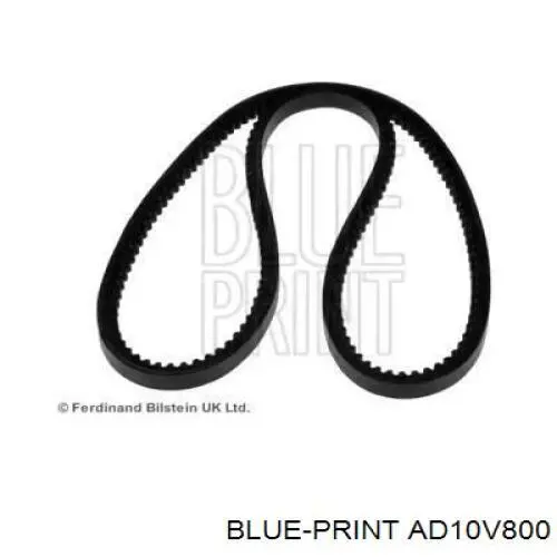 Ремень генератора AD10V800 Blue Print