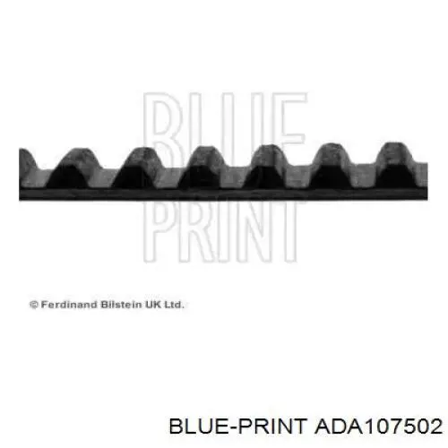 Correa distribucion ADA107502 Blue Print