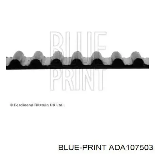 Correa distribucion ADA107503 Blue Print