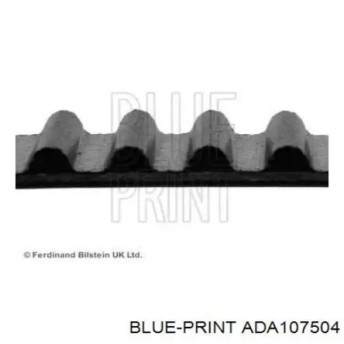 Correa distribucion ADA107504 Blue Print