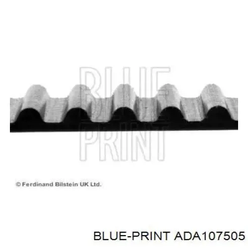 Correa distribucion ADA107505 Blue Print