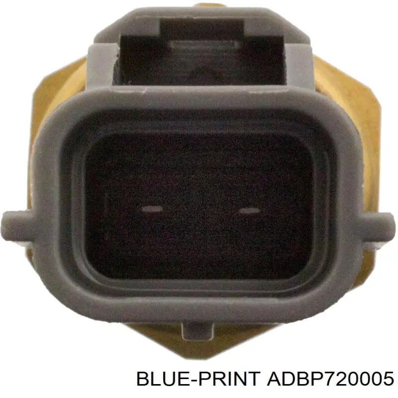 ADBP720005 Blue Print