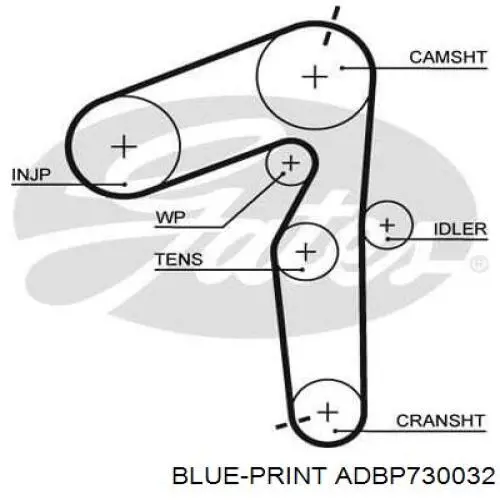 Комплект ремня ГРМ ADBP730032 Blue Print