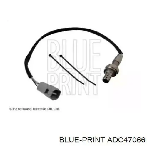 ADC47066 Blue Print sonda lambda, sensor de oxigênio até o catalisador