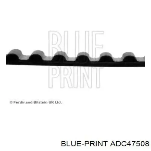 Ремень балансировочного вала Blue Print ADC47508